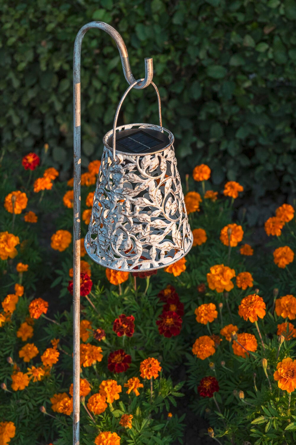 Solar Antic Laterne Rosen Konisch