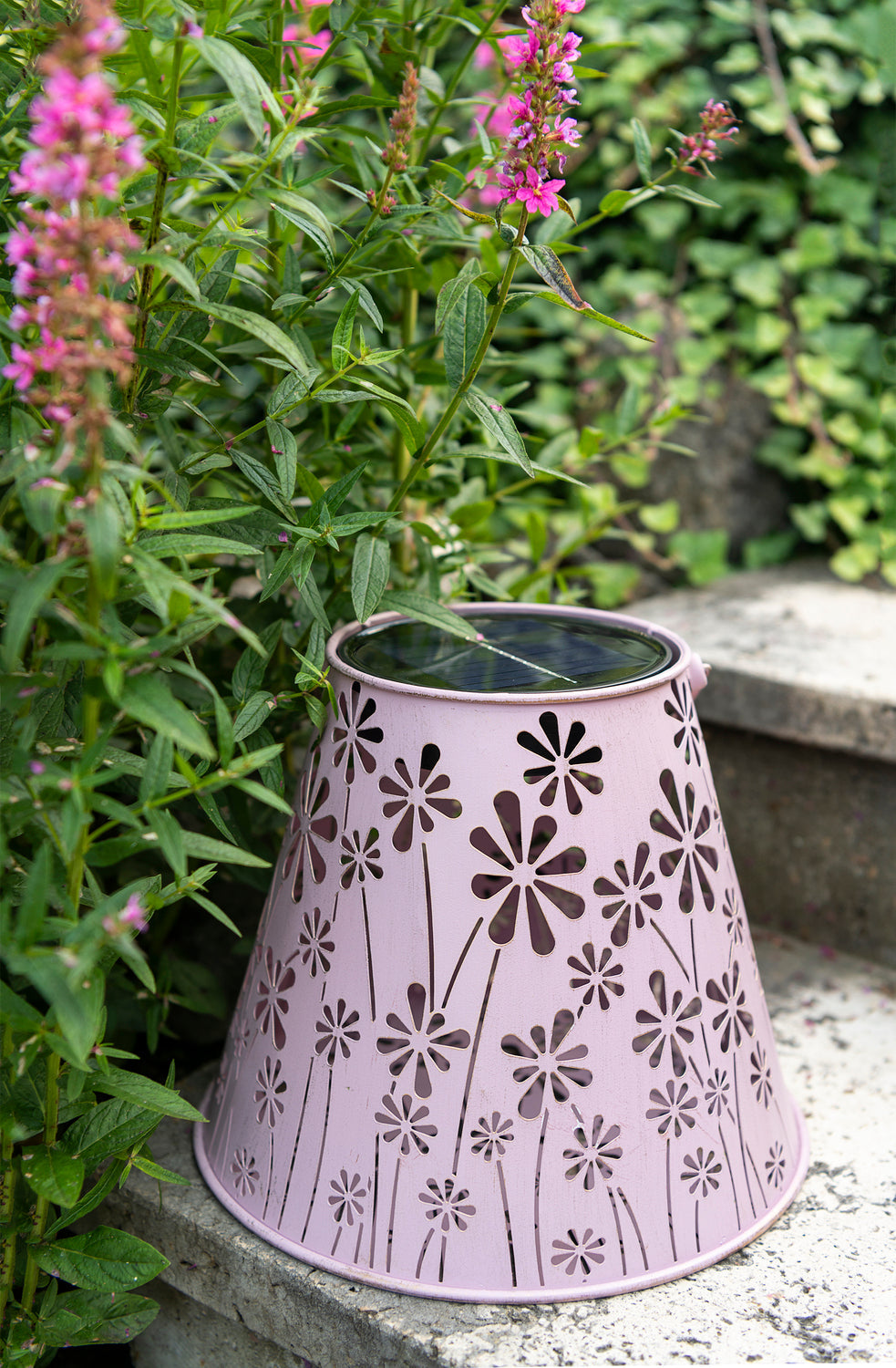 Solar Antic Laterne Blumenwiese Konisch