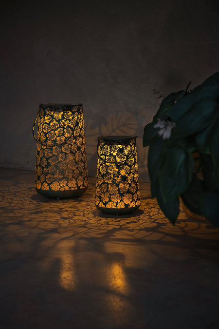 Solar Antic Latern Monstera