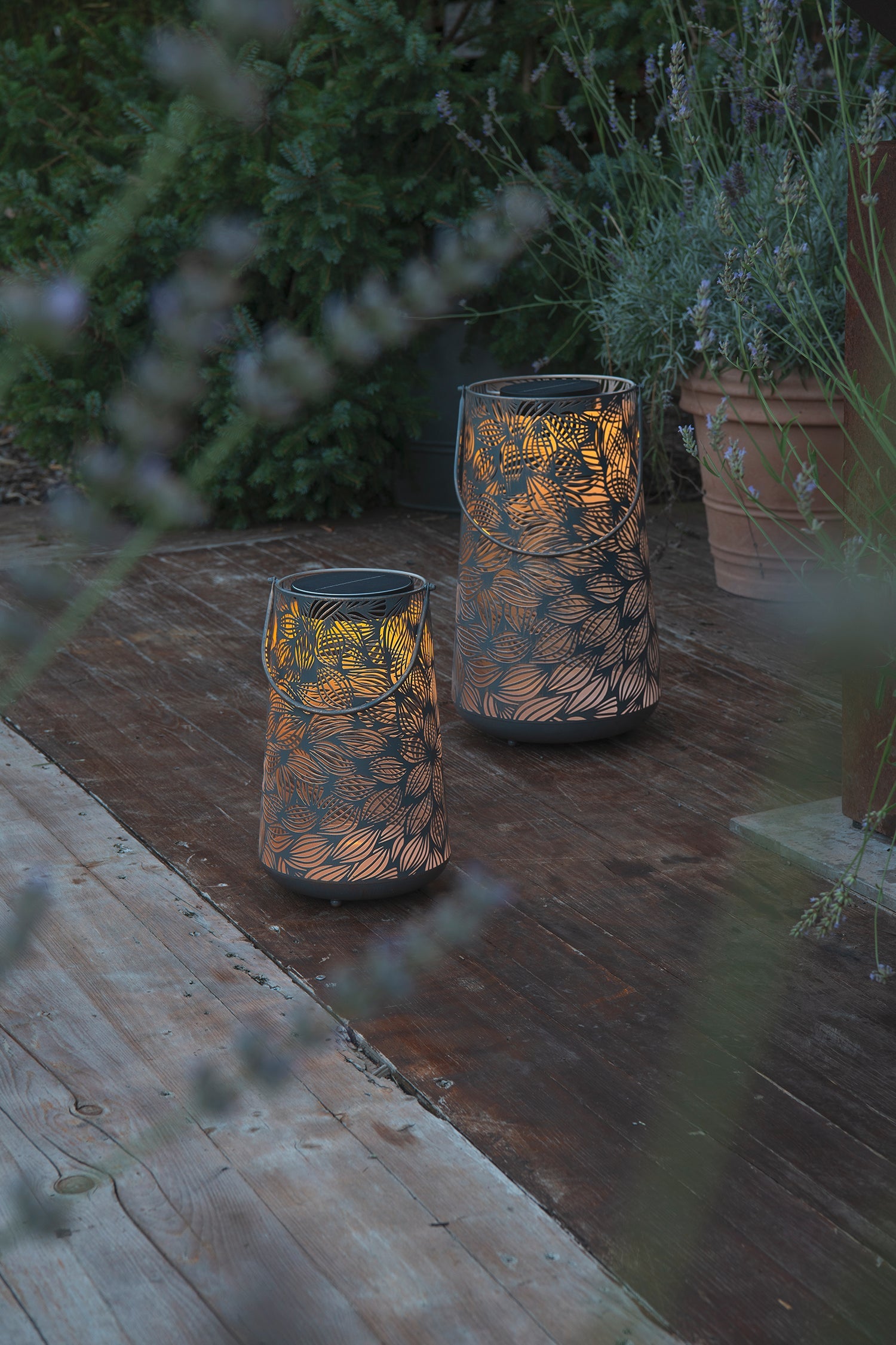 Solar Antic Latern Flora