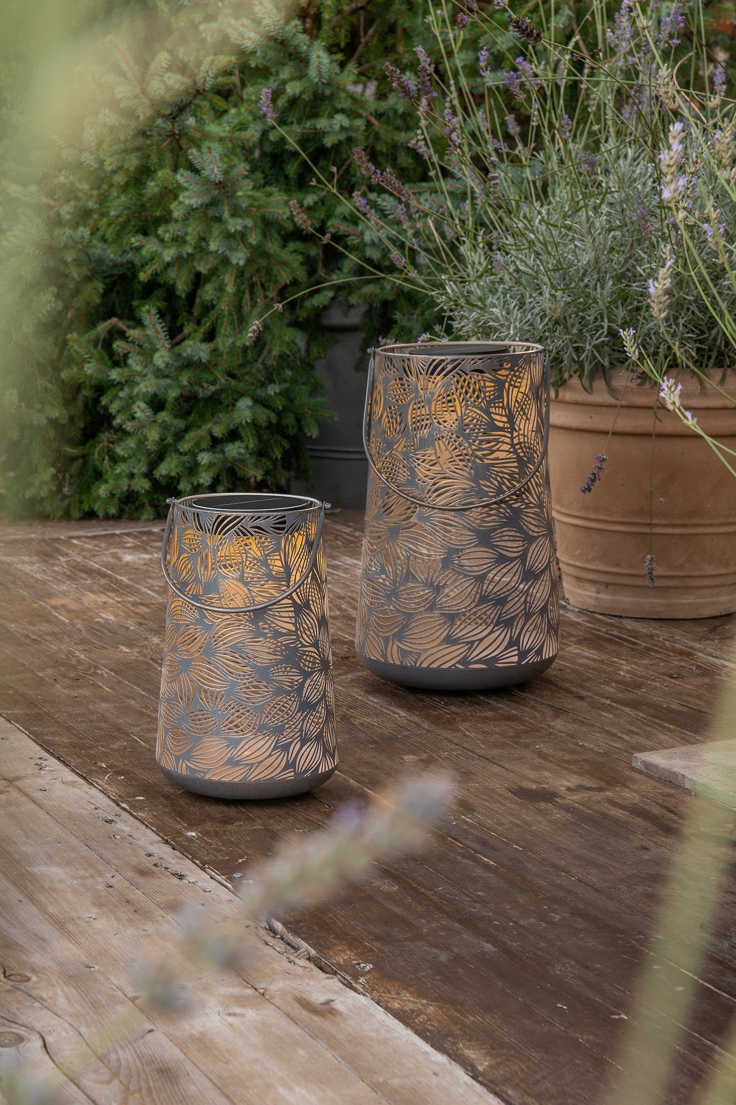 Solar Antic Latern Flora