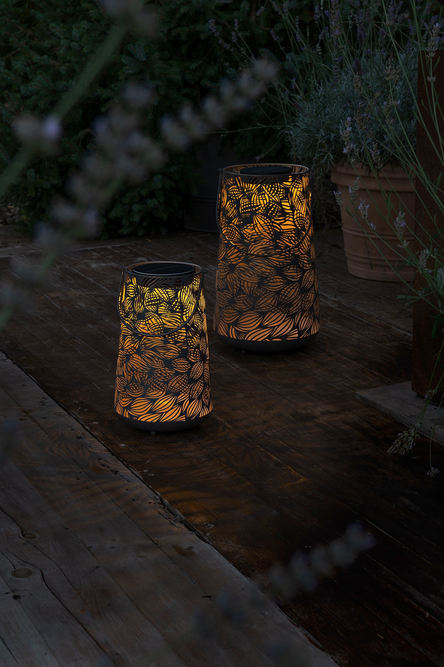 Solar Antic Latern Flora