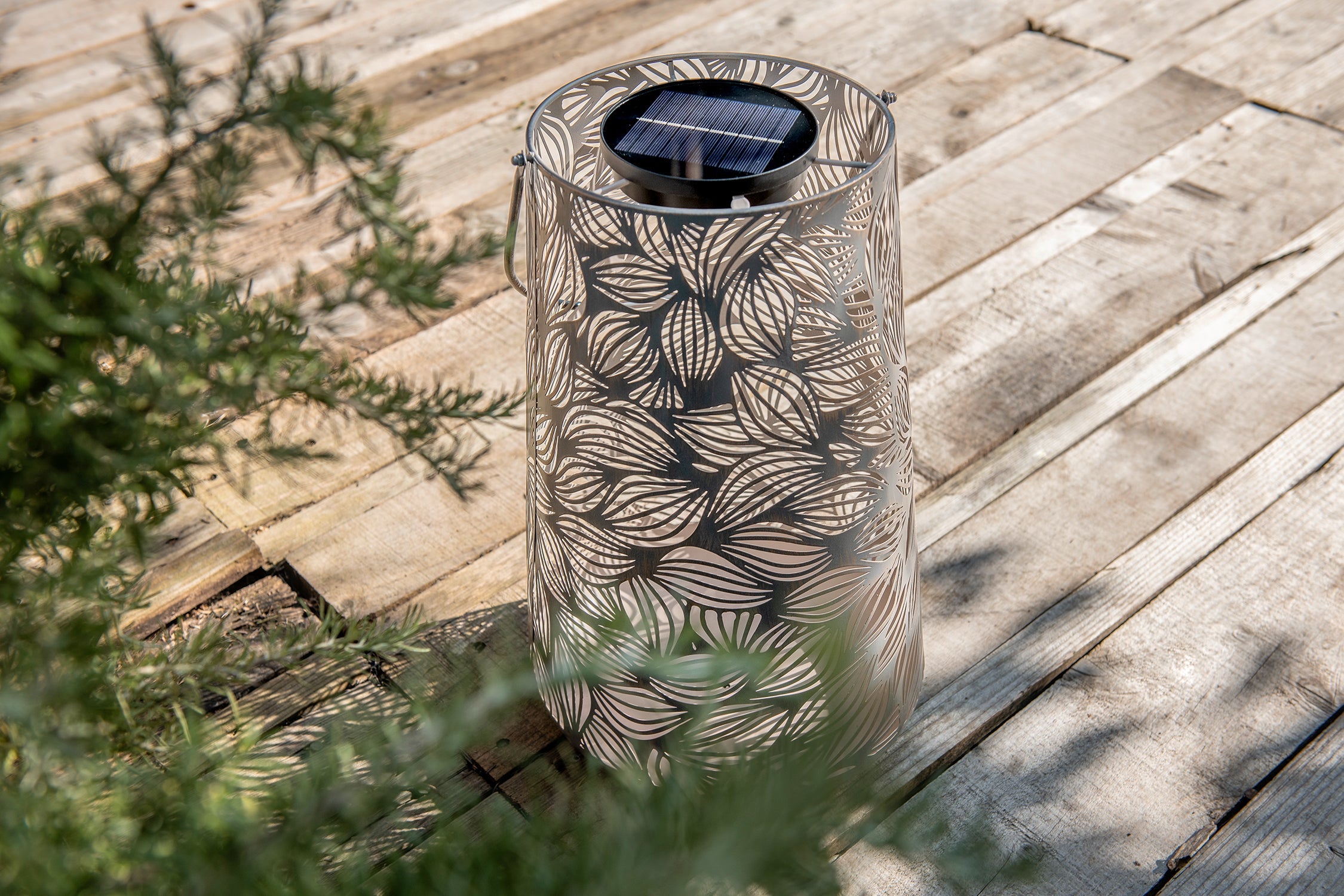 Solar Antic Latern Flora