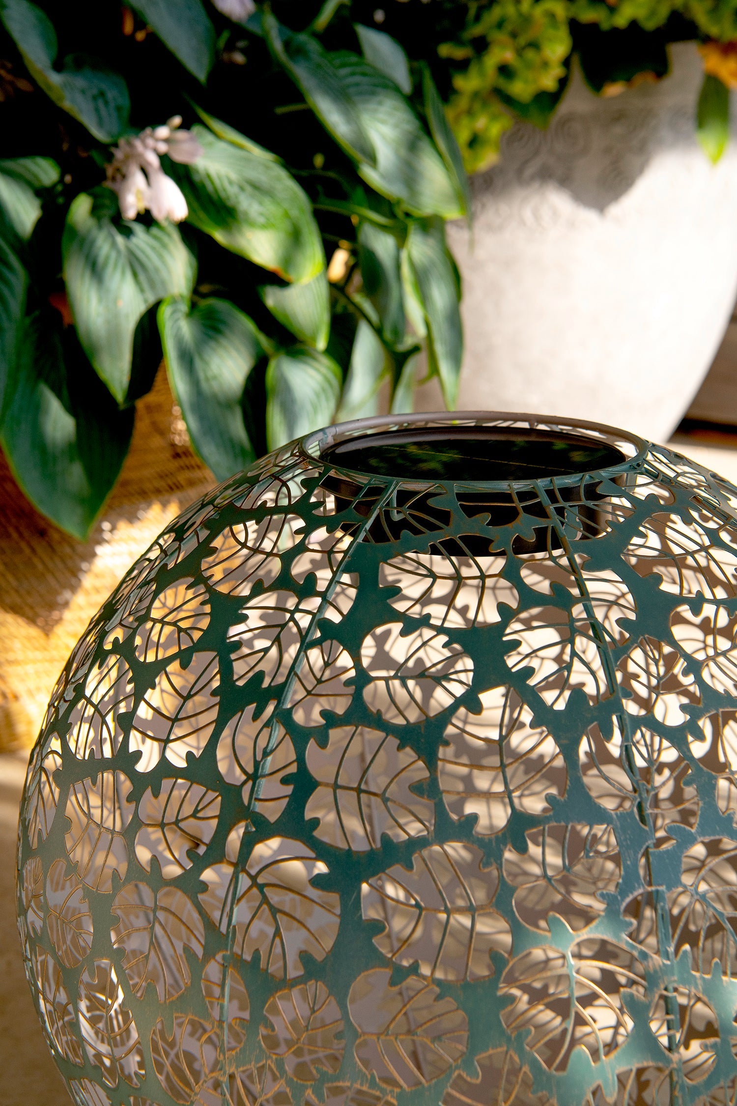 Solar Antic Kugel Monstera