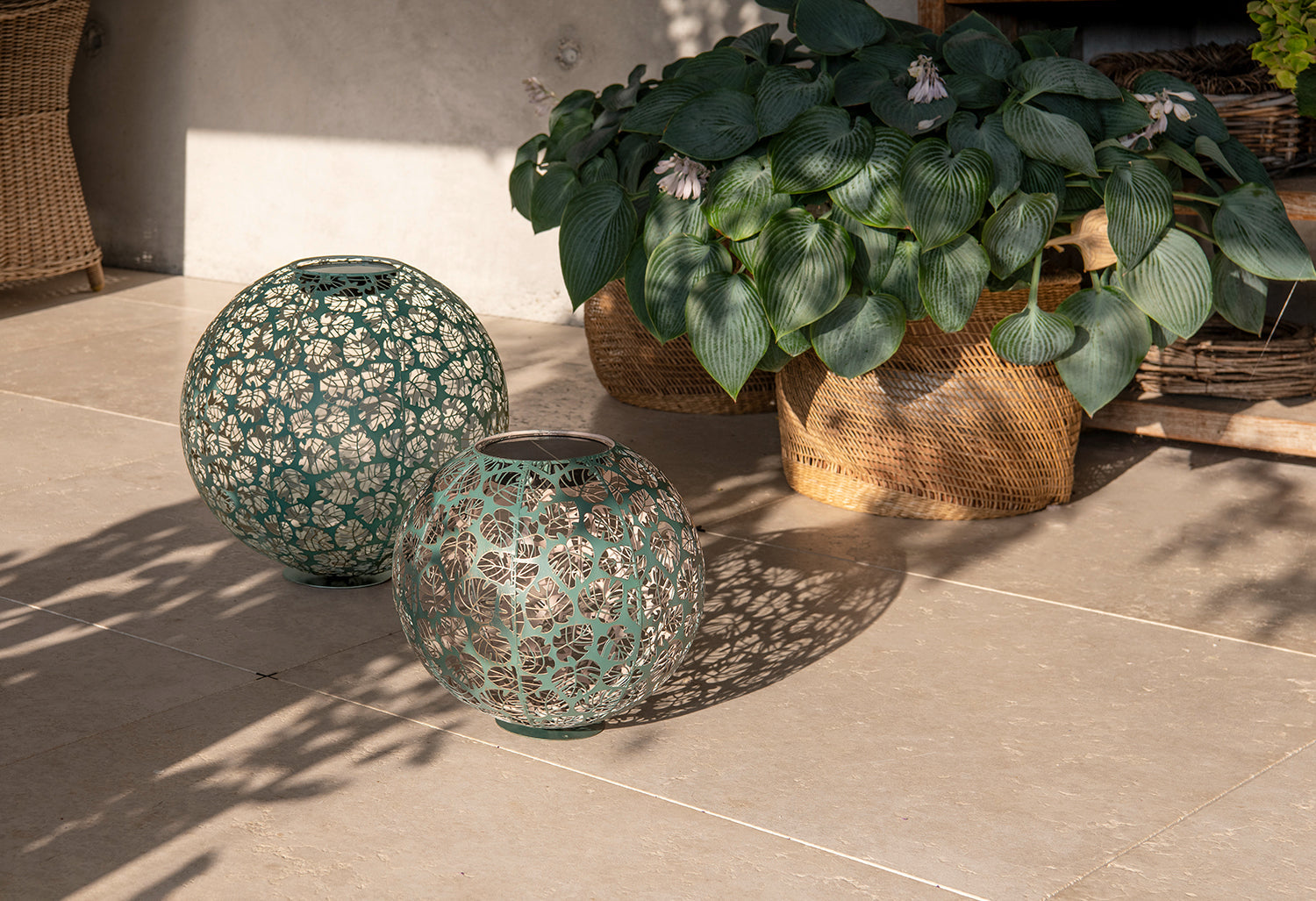 Solar Antic Kugel Monstera