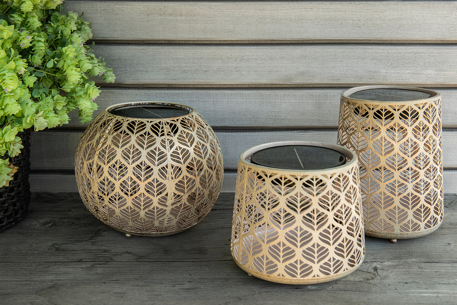 Solar Antic  Globe Grafic