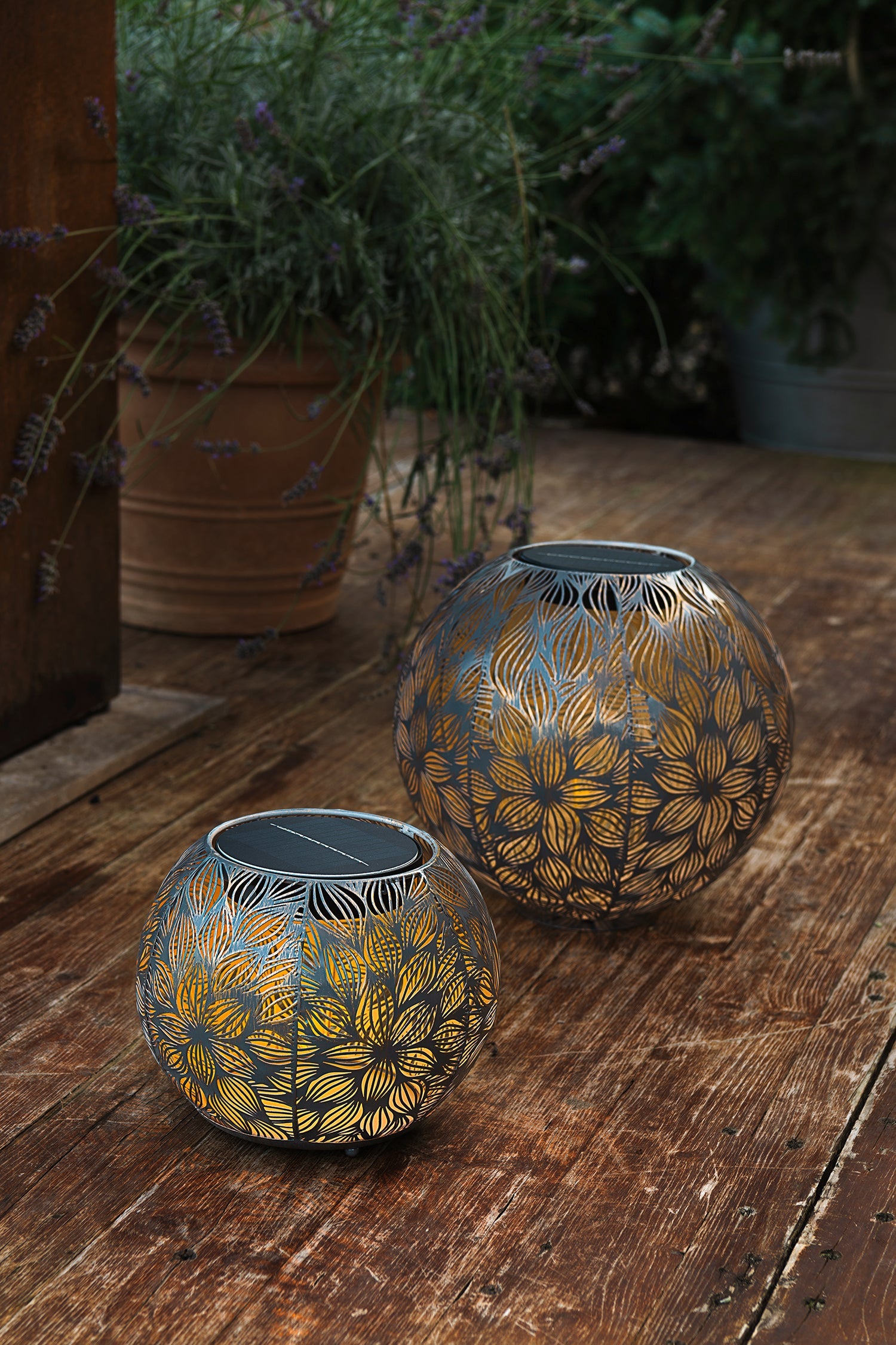 Solar Antic Globe Flora