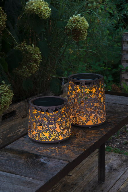 Antic Latern Mini Farfalla
